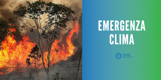 incendi amazzonia siberia